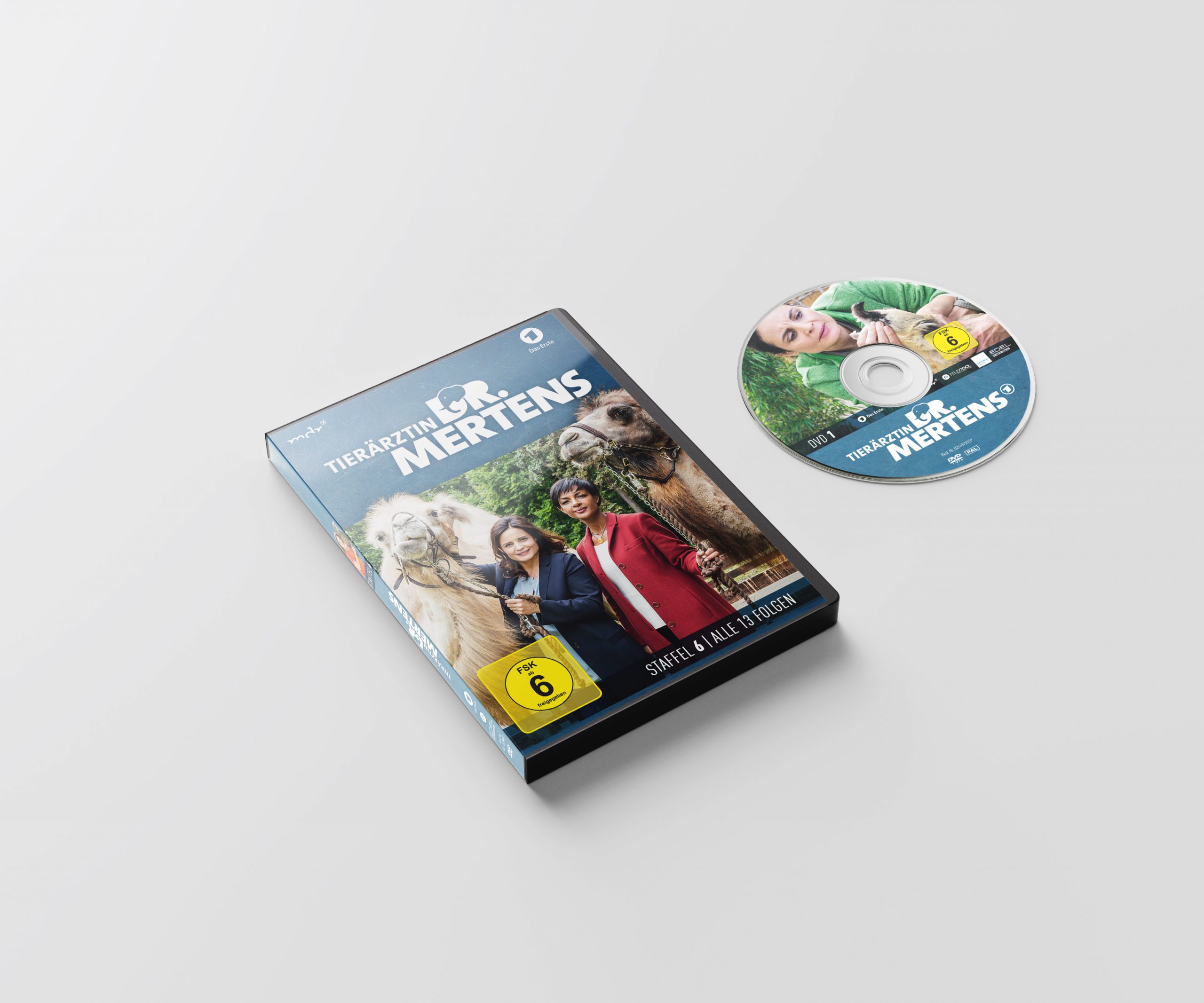 DVD Grafikdesign Leipzig