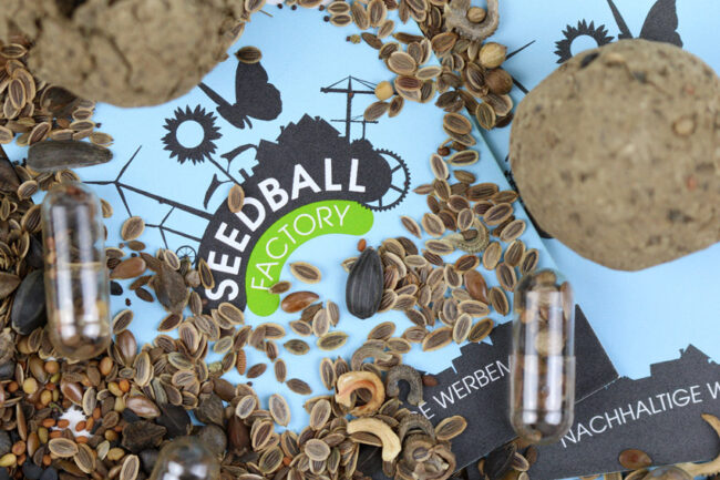 Mehrere Blumensamen liegen verstreut auch einem Flyer mit dem Logo der Firma Seedball-Factory.