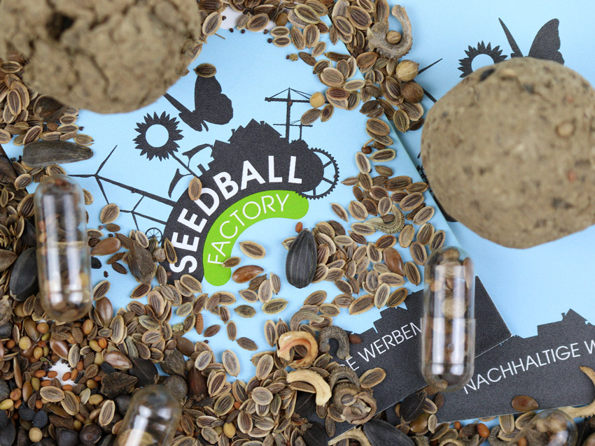 Mehrere Blumensamen liegen verstreut auch einem Flyer mit dem Logo der Firma Seedball-Factory.