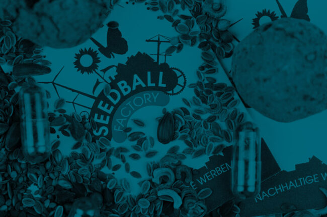Mehrere Blumensamen liegen verstreut auch einem Flyer mit dem Logo der Firma Seedball-Factory. Das Bild ist blau eingefärbt.