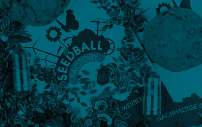 Mehrere Blumensamen liegen verstreut auch einem Flyer mit dem Logo der Firma Seedball-Factory. Das Bild ist blau eingefärbt.