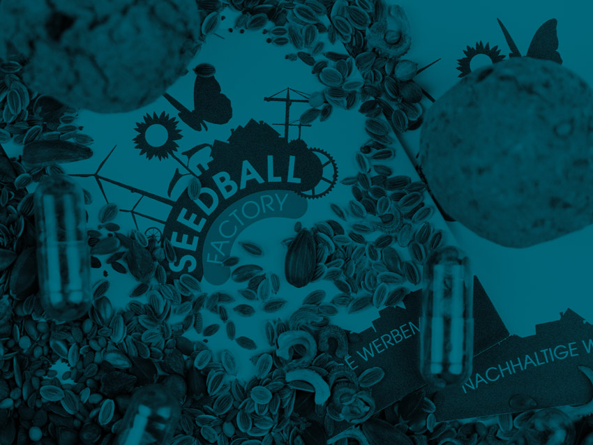 Mehrere Blumensamen liegen verstreut auch einem Flyer mit dem Logo der Firma Seedball-Factory. Das Bild ist blau eingefärbt.